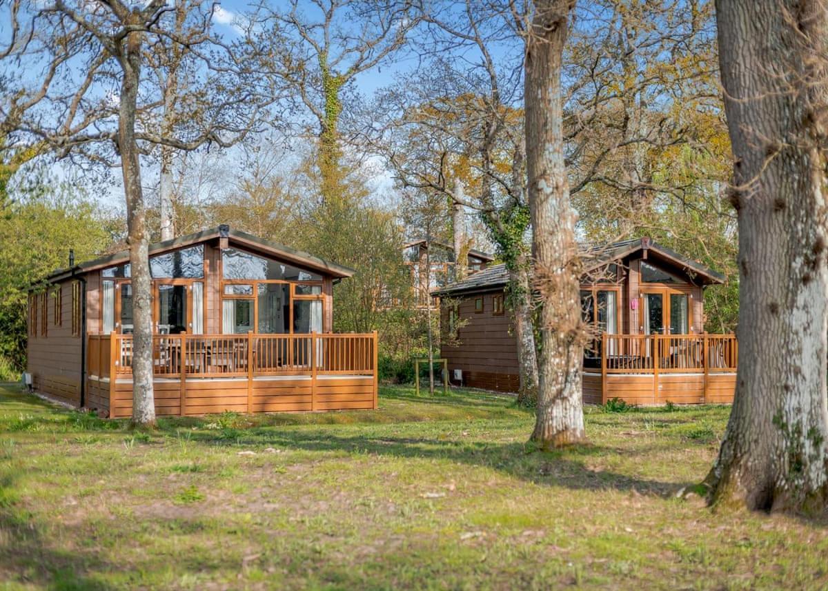 Wareham Forest Lodge Retreat Lytchett Minster Zewnętrze zdjęcie